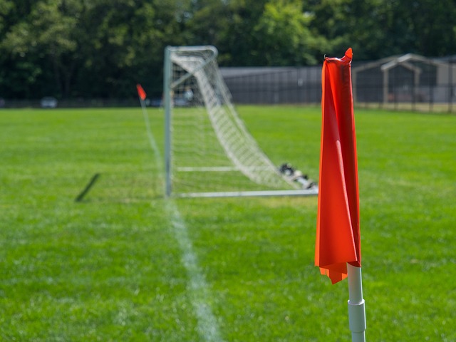 过法律途径 过法律途径