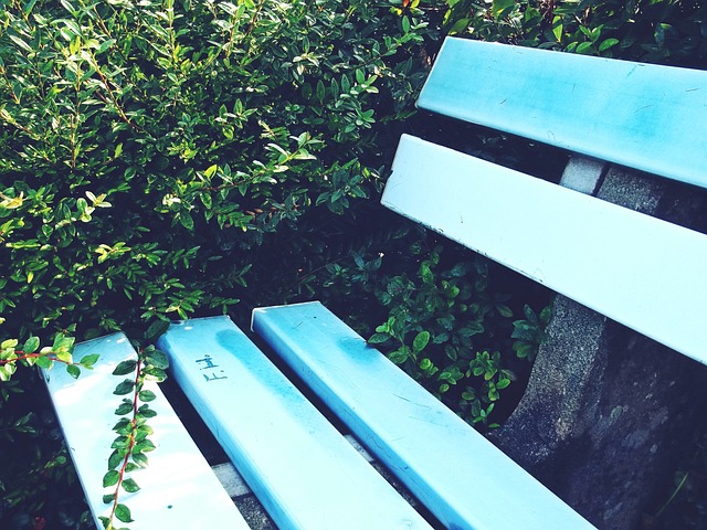 以逾越的障 以逾越的障