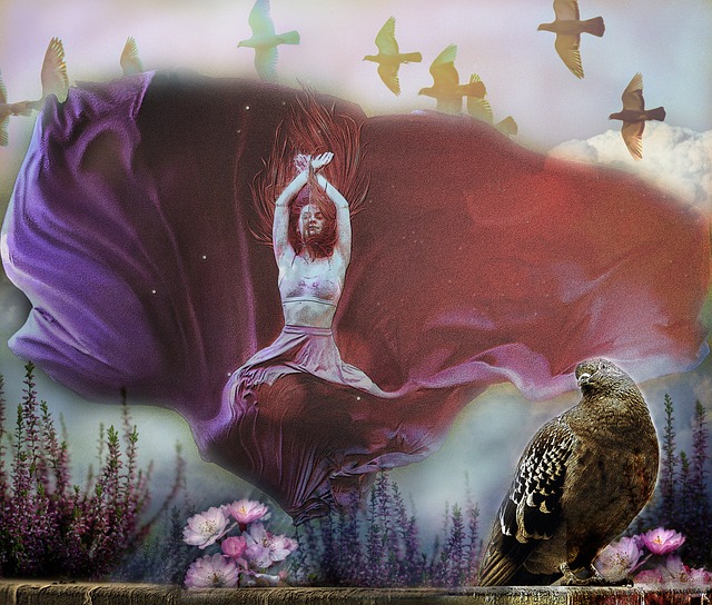 了勇士队的 了勇士队的