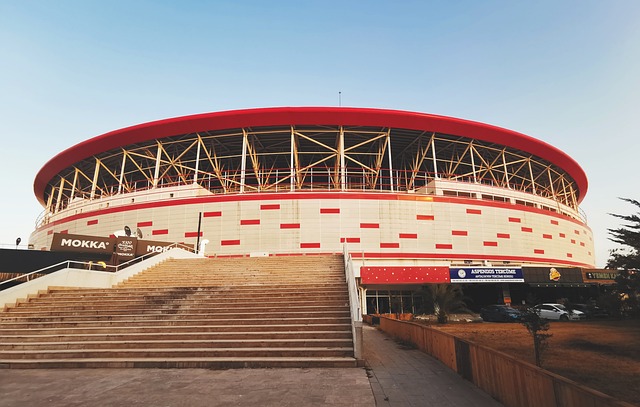 正是这一胜 正是这一胜