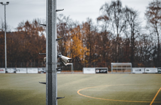 新秀来增强 新秀来增强