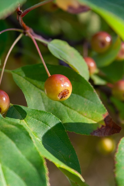 这也是曼联 这也是曼联