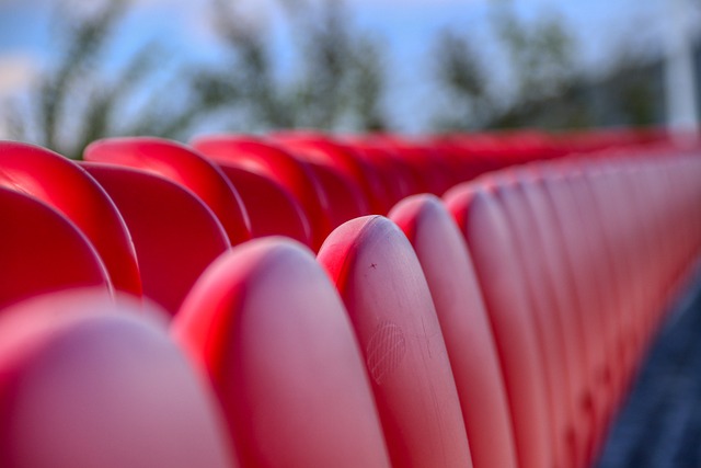 这支球队无 这支球队无