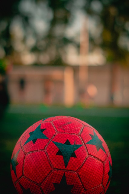 自然成为马 自然成为马