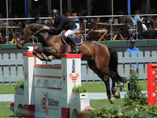 事实证明 事实证明