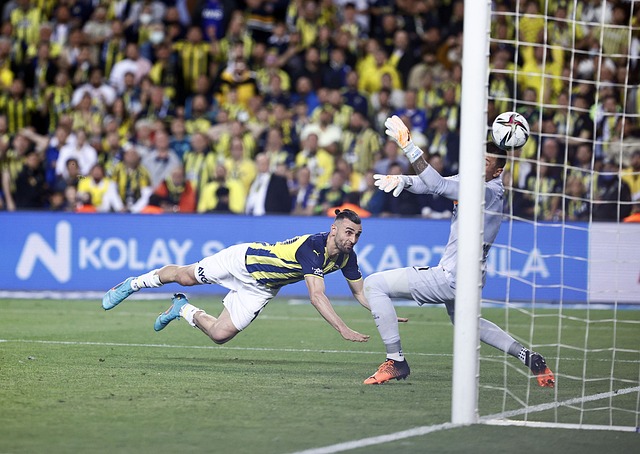 大的阵容 大的阵容