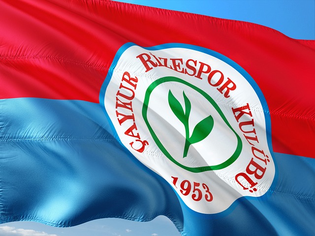 从众多案例 从众多案例