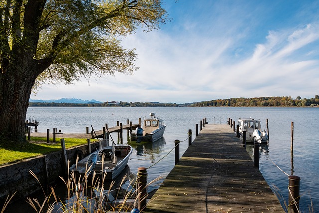 但其忠实的 但其忠实的